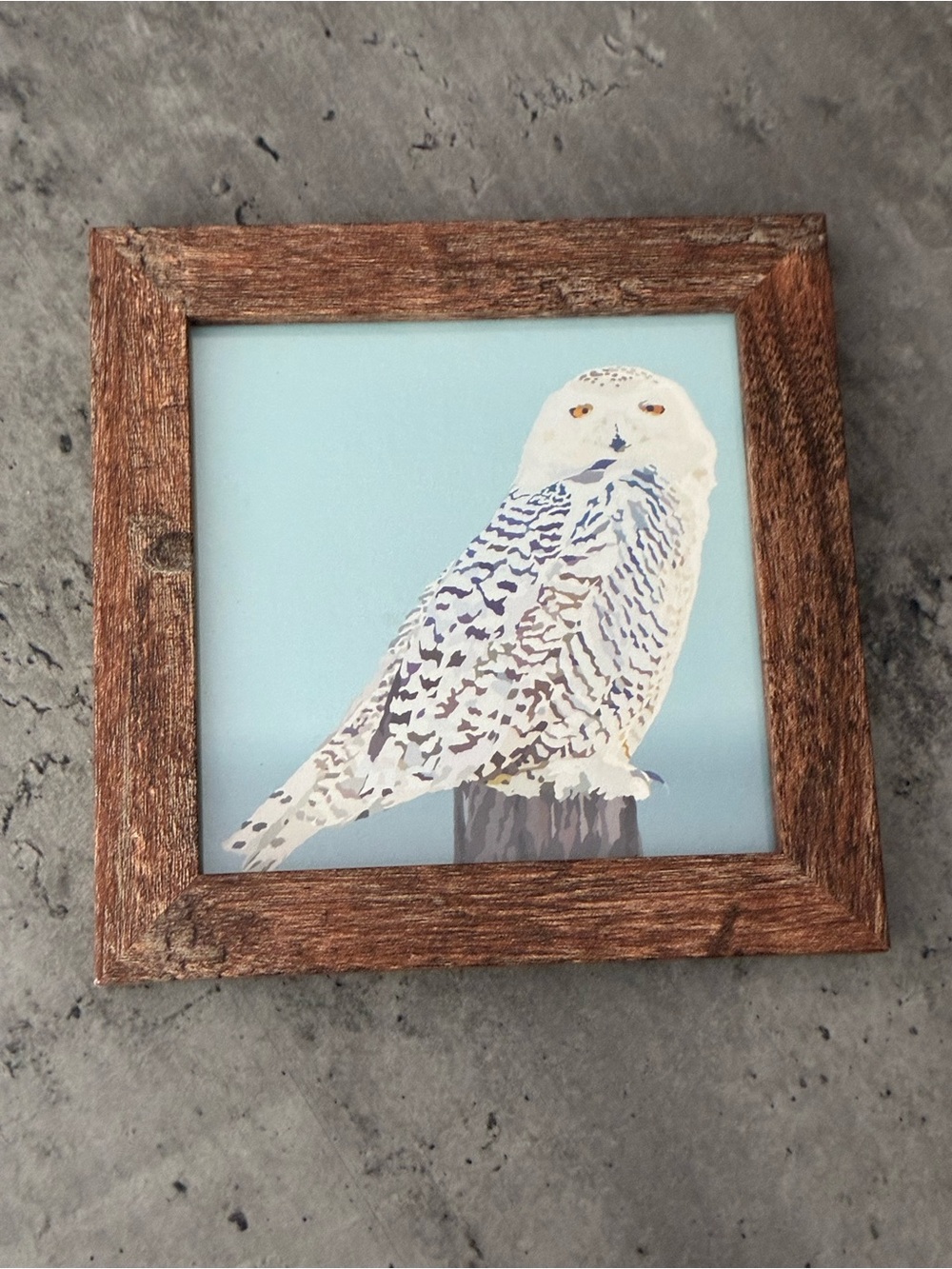 Snowy Owl Framed Wall Art